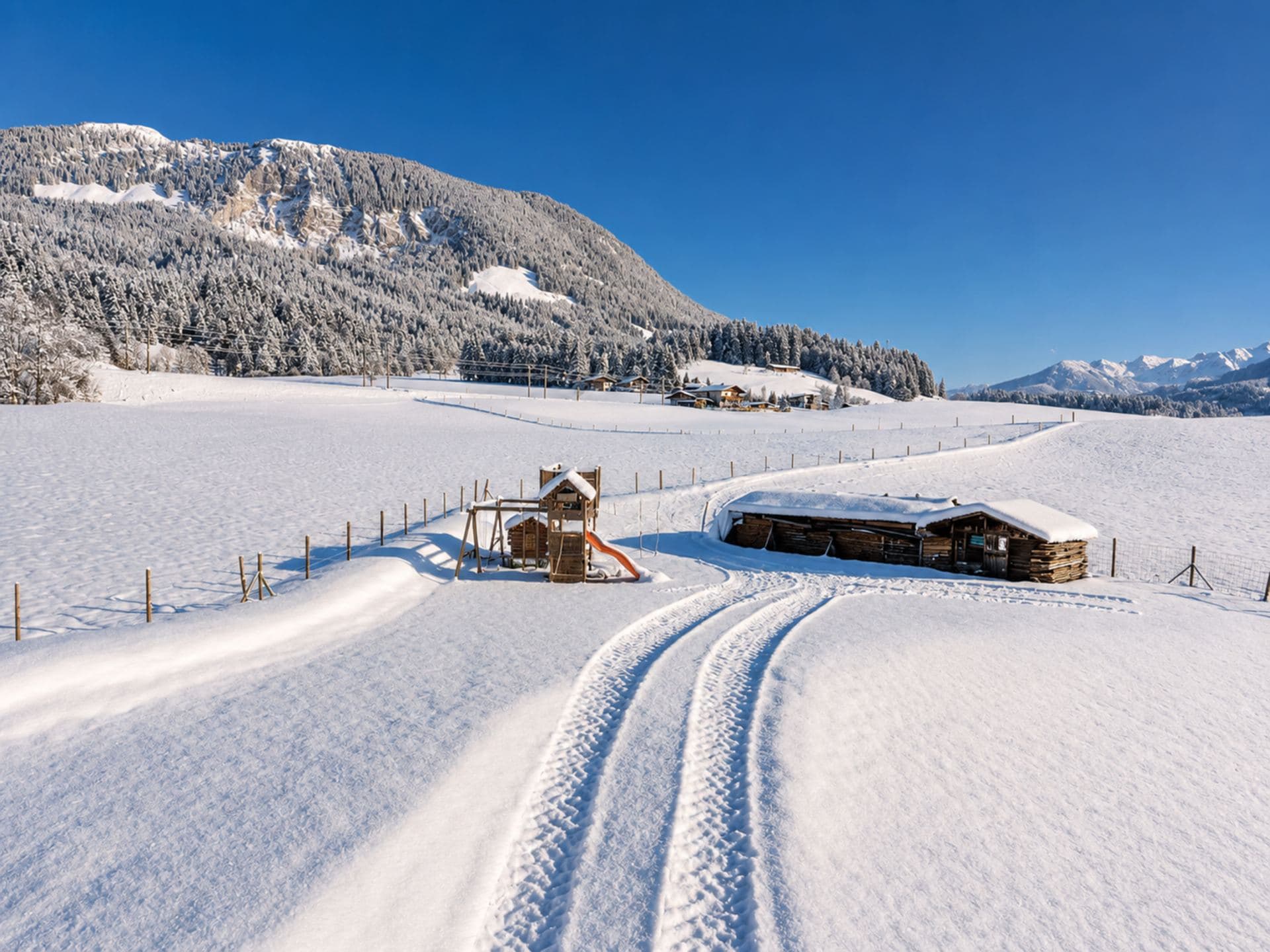 Panorama Chalet Fieberbrunn