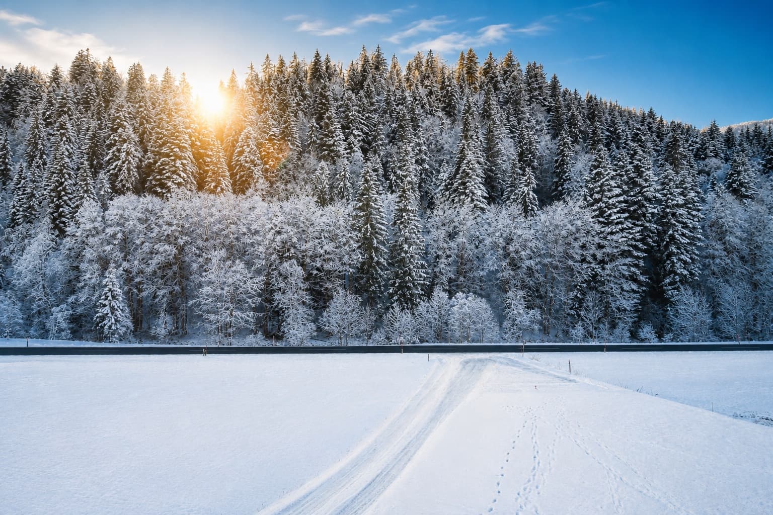 Panorama Chalet Fieberbrunn